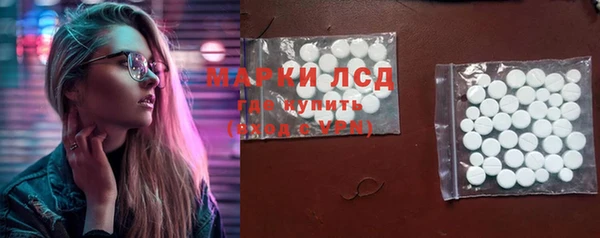 сатива Заволжье