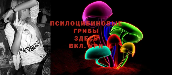 гидра Заводоуковск