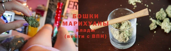 сатива Заволжье