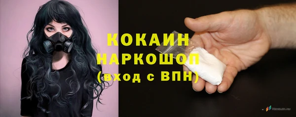 гидра Заводоуковск