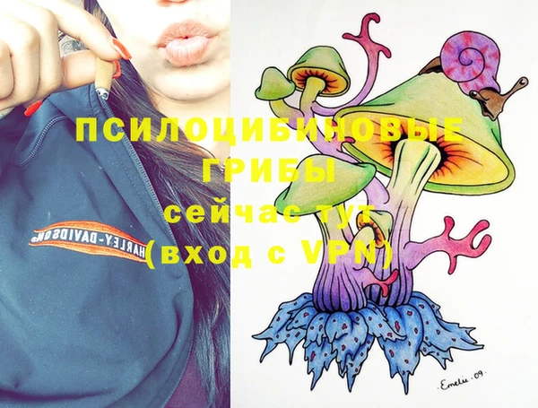 сатива Заволжье