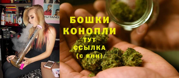 сатива Заволжье