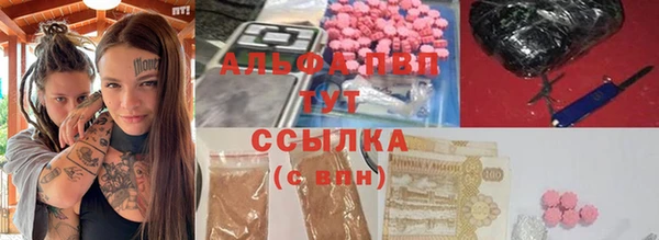 ECSTASY Ельня