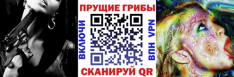 Псилоцибиновые грибы Psilocybe  Исилькуль 